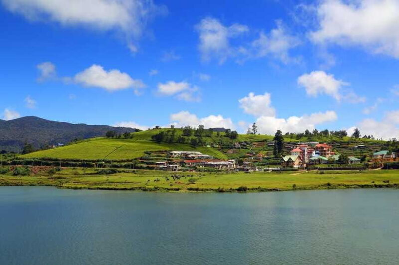 Colombo: Nuwara Eliya: Tea Gardens,Colonial Charm & High Tea - Who Should Consider This Tour?