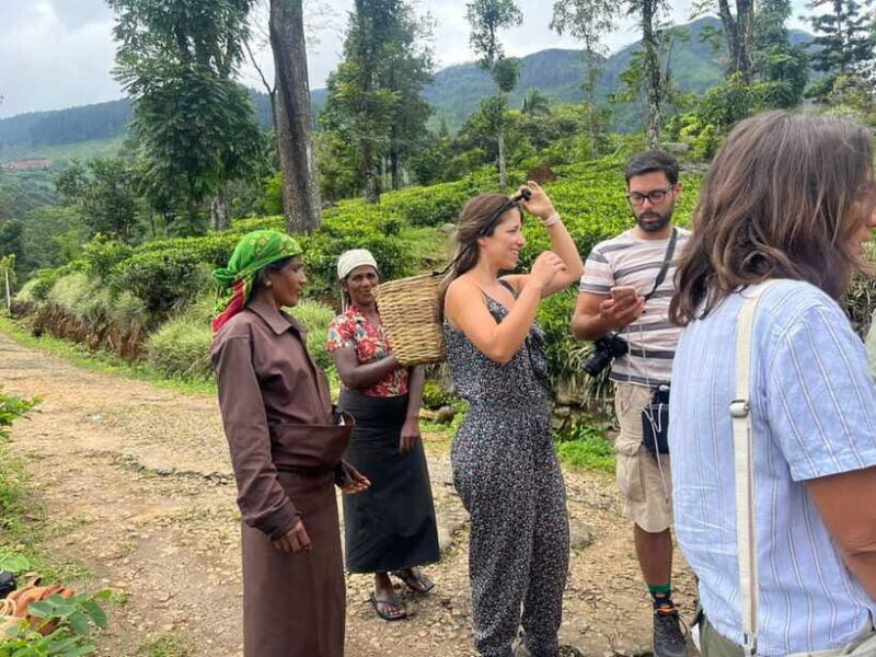 Colombo: Nuwara Eliya: Tea Gardens,Colonial Charm & High Tea - The Sum Up