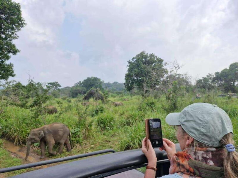 Colombo: Private 4-Day Tour to Sigiriya, Nuwara Eliya, Yala - An In-Depth Look at the 4-Day Sri Lanka Tour