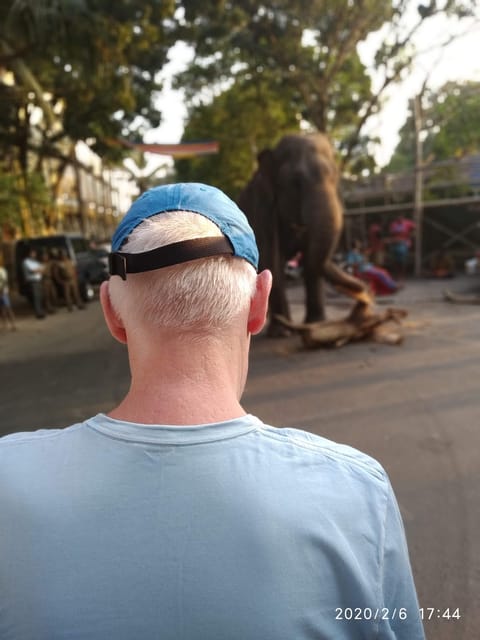 Colombo: Private Tuk Tuk City Tour With Local Food - Pickup and Accessibility