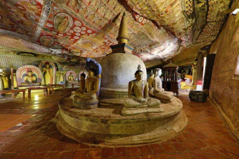 Colombo: Sigiriya, Dambulla Caves, & Wildlife Day Tour - An Overview of the Tour Experience