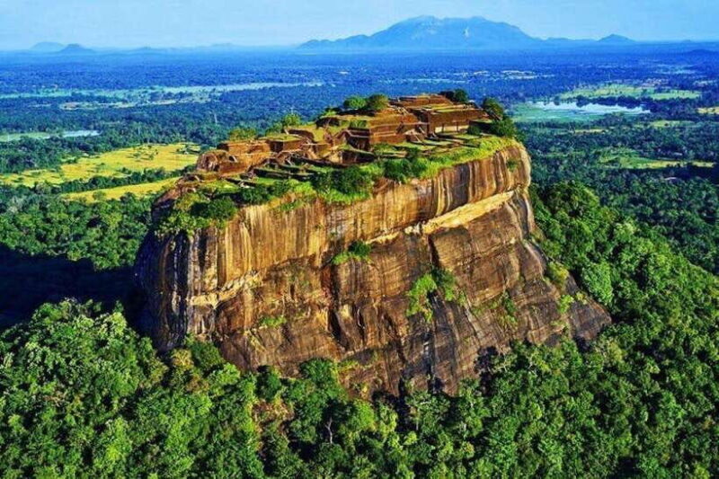 Colombo: Sigiriya, Dambulla Caves, & Wildlife Day Tour - Wildlife Safari: Elephants, Birds, and More