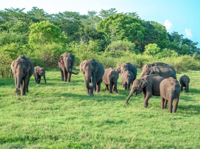 Colombo: Sigiriya Dambulla & Minneriya Private Day Tour - Pickup Locations