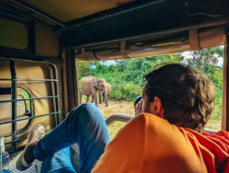 Colombo: Sigiriya Rock, Dambulla & Jeep Safari All Inclusive - The Itinerary: What to Expect from Dawn to Dusk