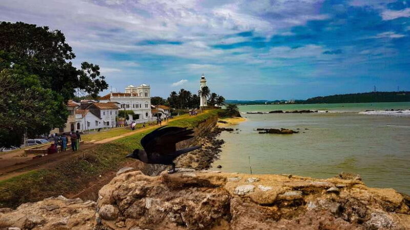Colombo: Southern Sri Lanka and Hill Country 3 Days Tour - What We Think Travelers Will Love