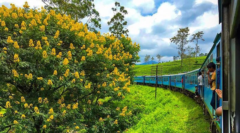 COLOMBO to KANDY Trian E-Tickets - Good To Know