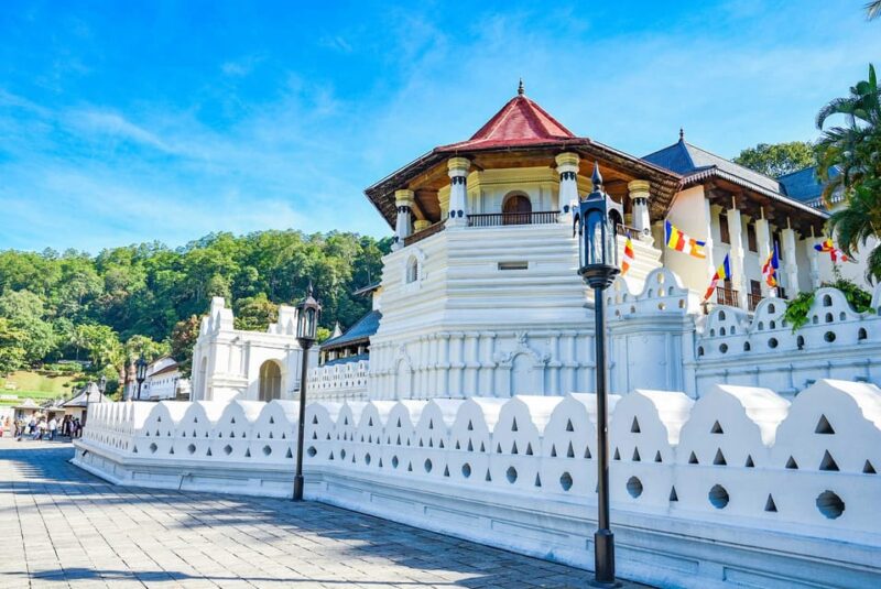 Colombo to Pinnawala & Kandy Day Tour With Tea Factory - Kadugannawa Tea Factory Tour