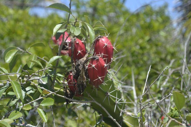 Coloradas Bioexperiences - Practical Details and Tips