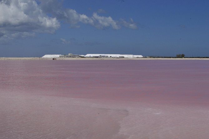 Coloradas Bioexperiences - What Travelers Are Saying