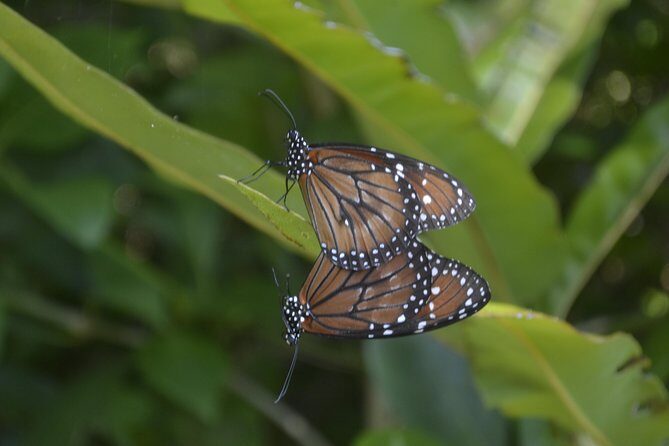 Coloradas Bioexperiences - Frequently Asked Questions