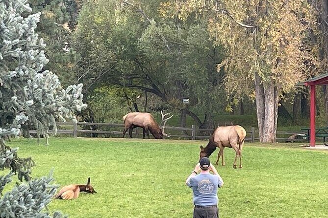 Colorado Green Friendly Mountain Sunset Tour from Denver - Who Is This Tour Best For?