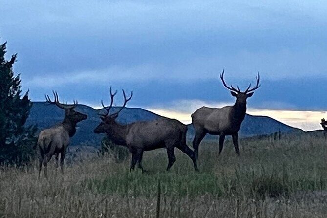 Colorado Green Friendly Mountain Sunset Tour from Denver - FAQ