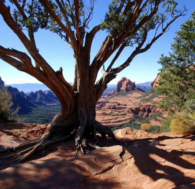 Colorado Plateau on 4x4: 2-Hour Tour From Sedona - Frequently Asked Questions