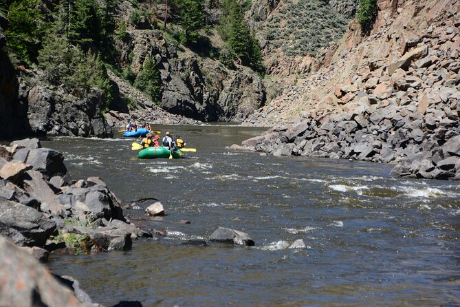 Colorado River Whitewater Rafting: Half Day Trip - Overview of the Experience