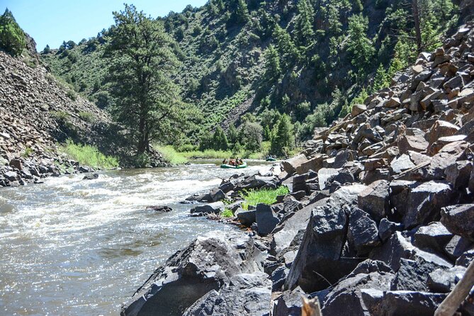 Colorado River Whitewater Rafting: Half Day Trip - Scenic Highlights
