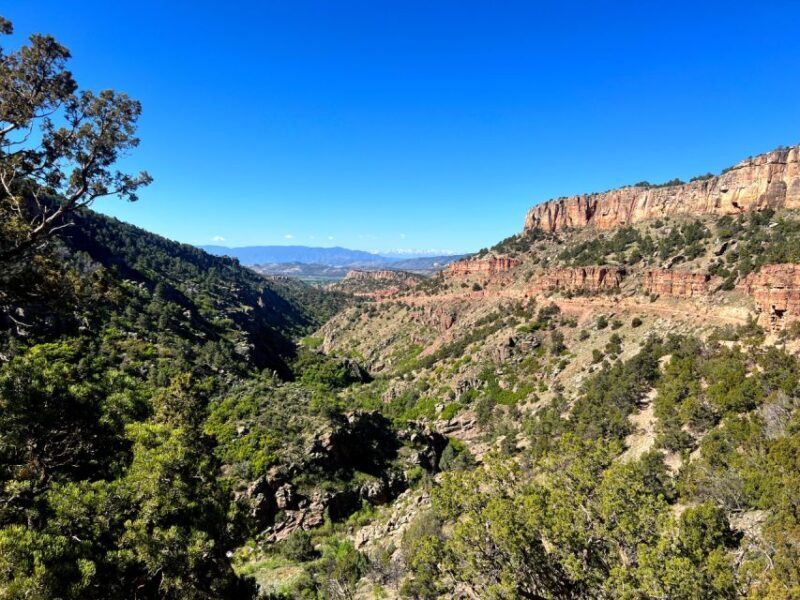 Colorado Springs: Cripple Creek Backcountry Jeep Tour - FAQ