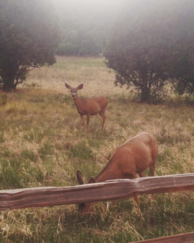 Colorado Springs: Garden of the Gods & Historic Town Tour - Rainbow Falls and Mineral Springs
