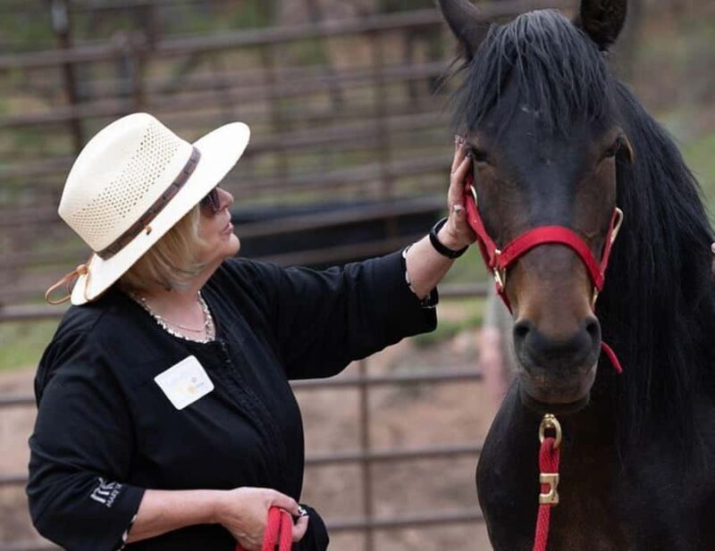 Colorado Springs: Mindfulness with Rescue Mustangs - Key Points