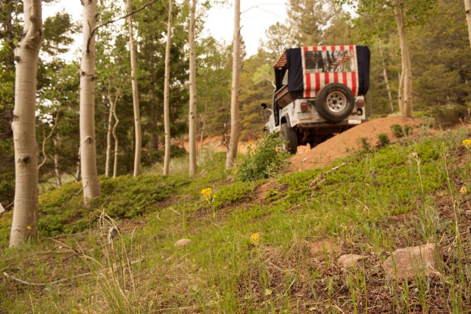 Colorado Springs: Old West High County 4x4 Tour - Stunning Alpine Vistas