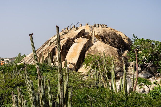 Colorful Beach Bus Sightseeing Tour of Aruba - FAQ