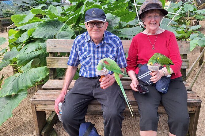 Colorful Species Of Birds - Transportation and Group Size