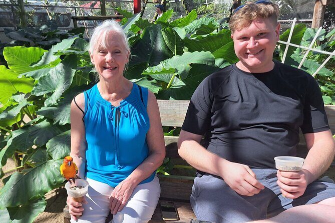 Colorful Species Of Birds - Highlights from Real Travelers