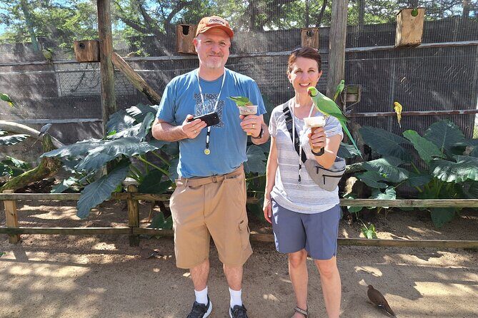 Colorful Species Of Birds - Who Should Book This Tour?