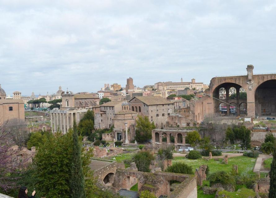 Colosseum Accessible Tour: Ancient Rome for Wheelchair Users - Discovering Palatine Hill