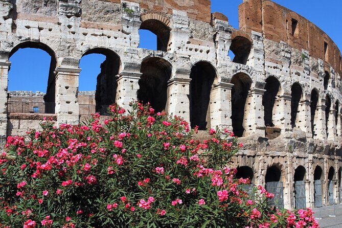 Colosseum Express Tour - Key Points