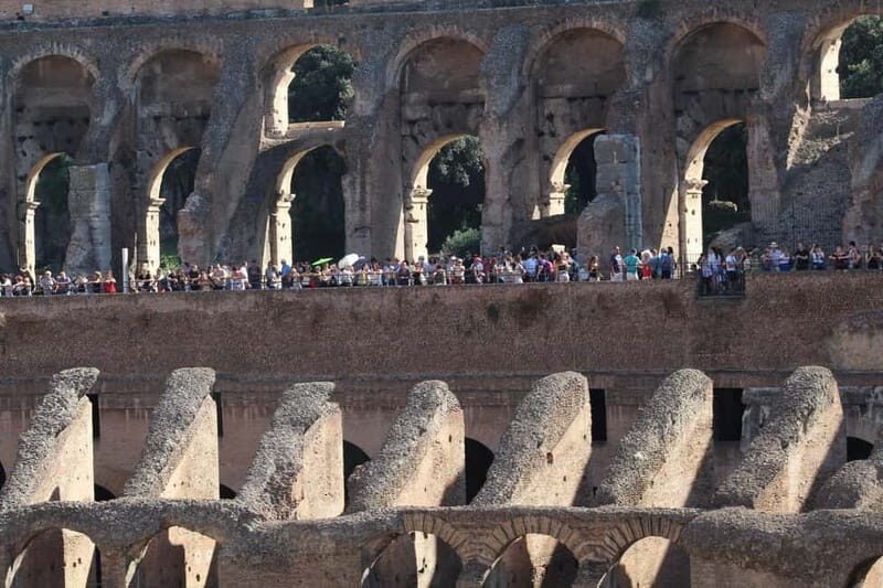 Colosseum, Forum & Palatine Hill Guided Walking tour - An In-Depth Look at the Tour