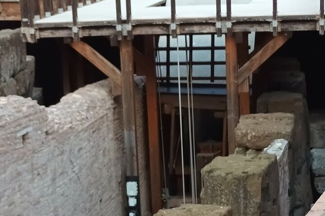 Colosseum Guided Tour With Access To The Ancient City Of Rome - Access to Roman Forum and Palatine Hill