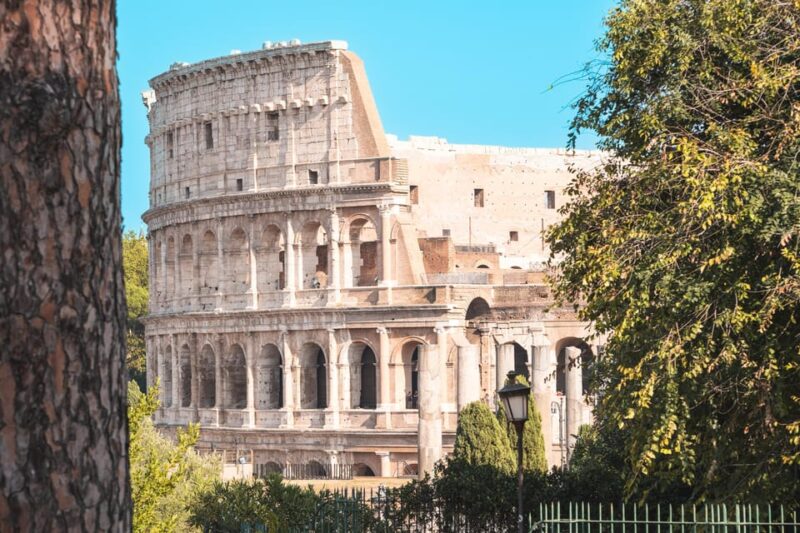 Colosseum, Palatine Hill, & Roman Forum Entry and Audioguide - Discovering the Roman Forum
