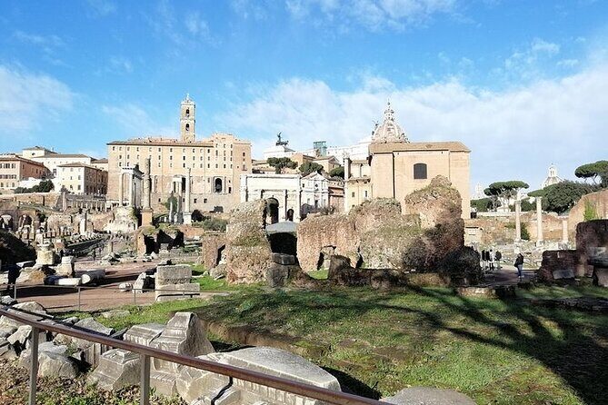 Colosseum, Roman Forum and Palatine Hill- Private Tour - The Experience and the Guides