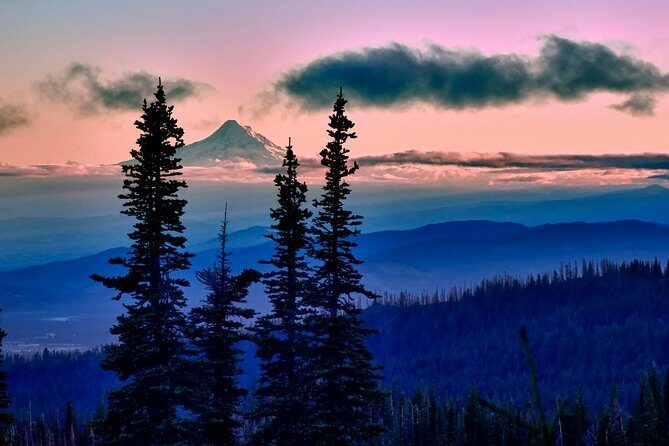 Columbia Gorge Waterfalls & Wineries from Portland: All-Inclusive Afternoon Tour - Why This Tour Works Well