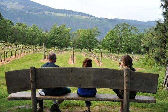 Columbia Gorge Waterfalls & Wineries from Portland: All-Inclusive Afternoon Tour - Transportation and Logistics