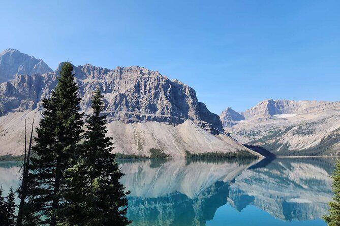 Columbia Icefield Bow Lake Peyto Lake Day Tour - Analyzing the Value