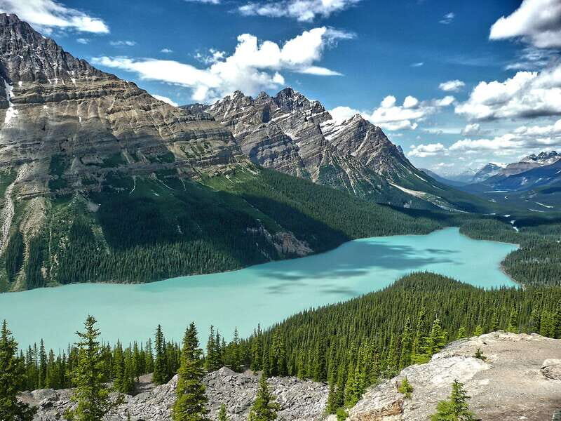 Columbia Icefield, Peyto Lake, Bow Lake Discovery Tour - Authentic Feedback