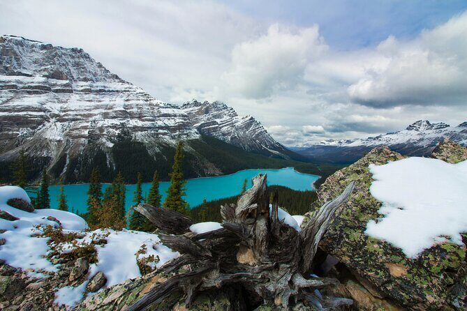 Columbia Icefield Skywalk Crowfoot Glacier and Lakes Tour - Key Points