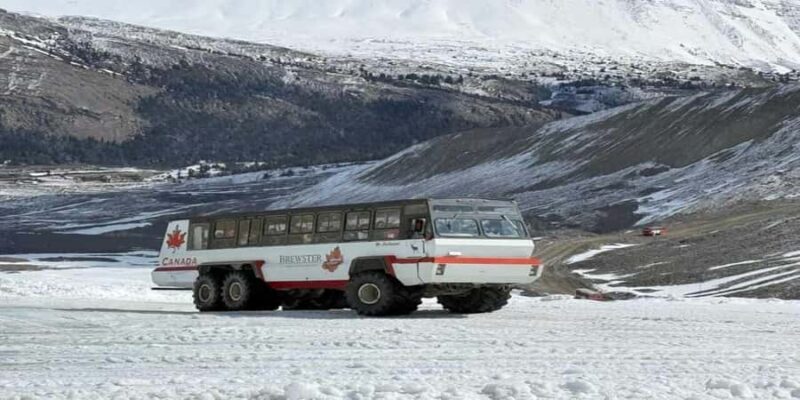 Columbia Icefield, Skywalk, Crowfoot Glacier, and Lakes Tour - The Sum Up: Who Will Love This Tour?