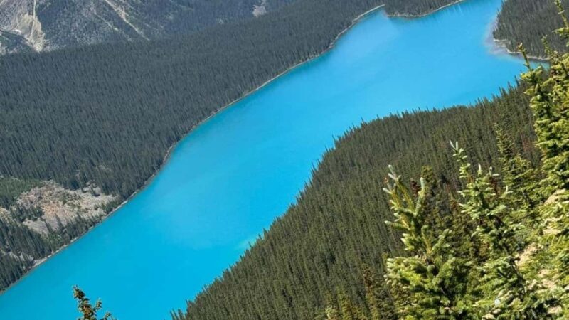 Columbia Icefield, Skywalk, Crowfoot Glacier, and Lakes Tour - Peyto Lake: The Iconic Wolf-Head