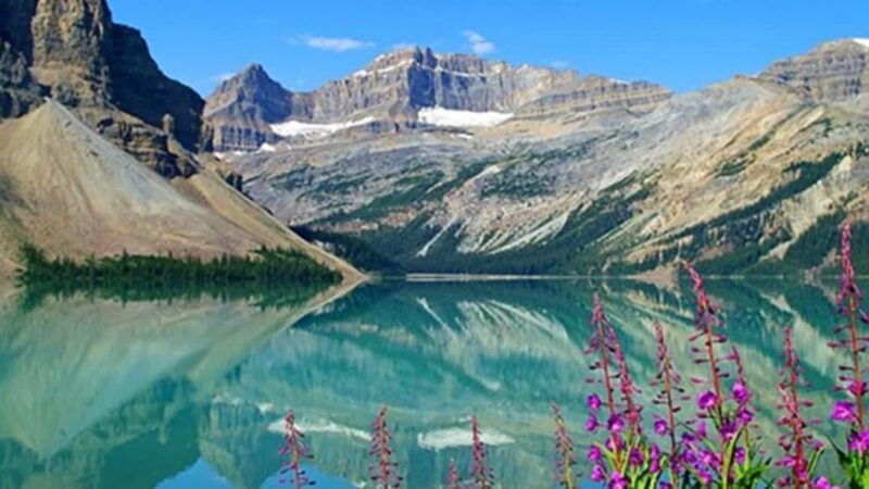 Columbia Icefield, Skywalk, Crowfoot Glacier, and Lakes Tour - Why the Guides Make a Difference