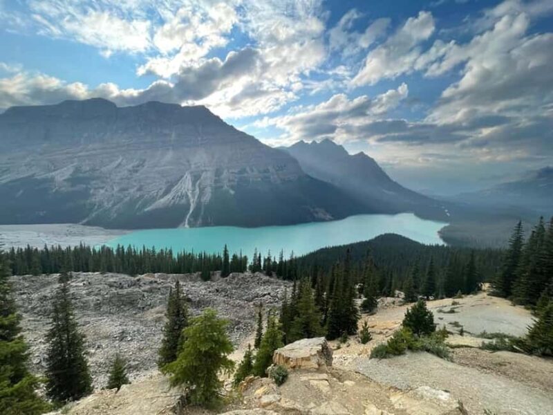 Columbia icefield, Skywalk, Waterfowl, Bow & Peyto Lake Tour - Practical Tips for Travelers