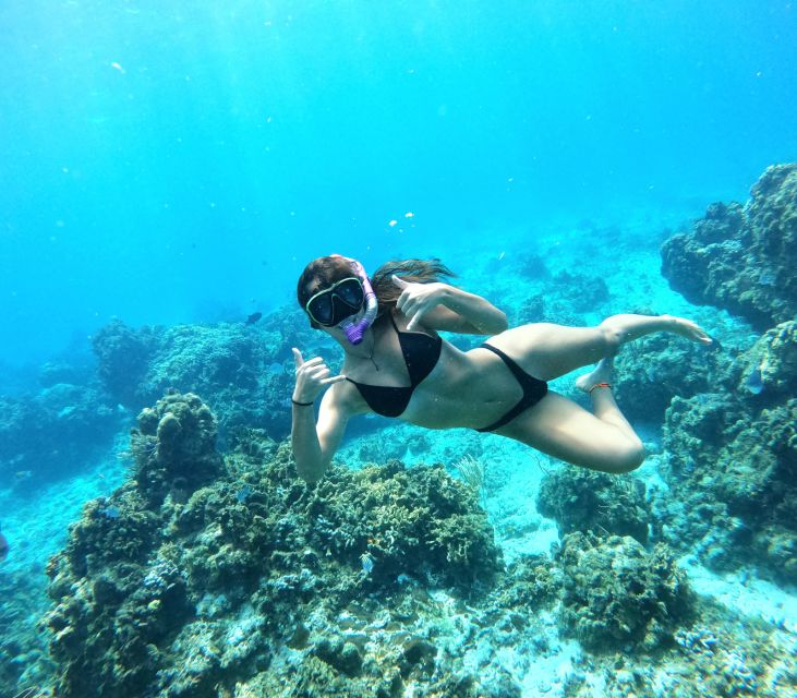 Columbia , Palancar & Cielo Snorkel Tour - Key Points