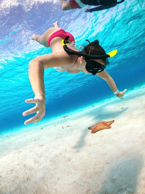 Columbia , Palancar & Cielo Snorkel Tour - Pricing and Booking