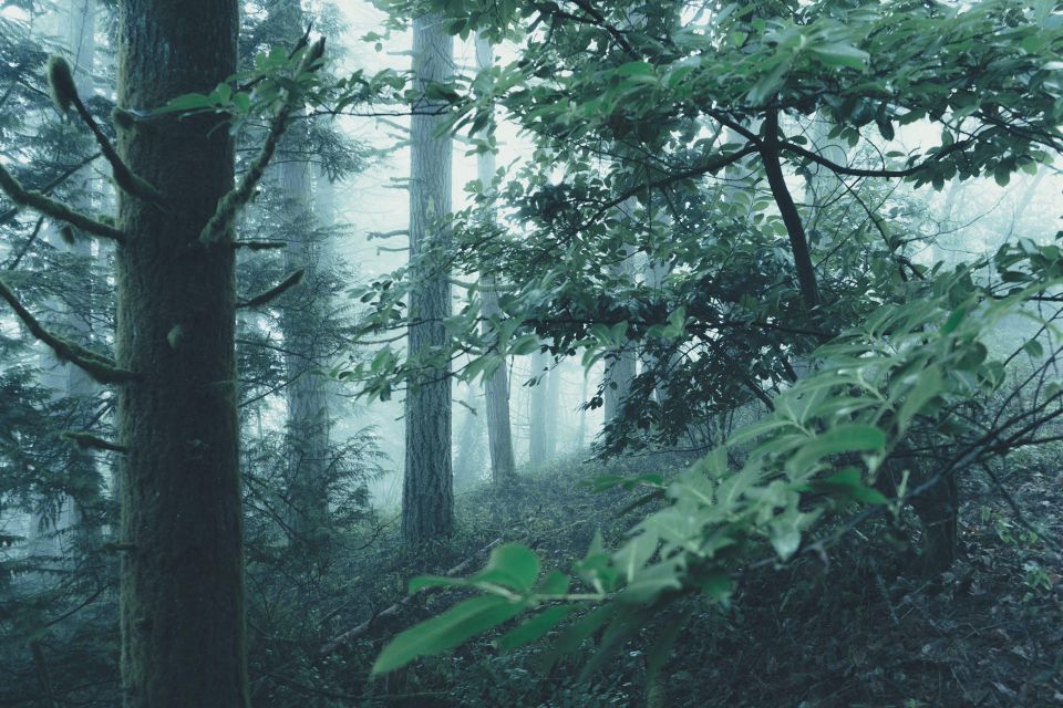 Columbia River Gorge: Small-Group Tour & Hike - Pricing and Booking Information