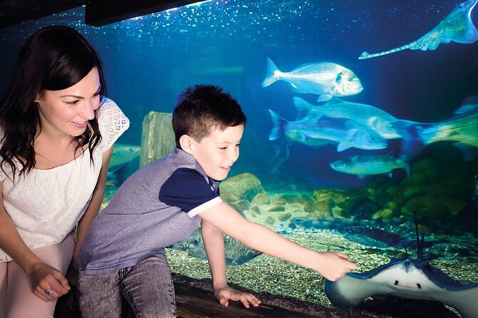 Combi Ticket: LEGOLAND Discovery Centre and SEA LIFE Berlin - Booking Process and Cancellation Policy