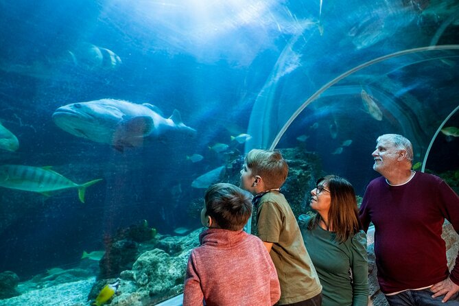 Combi Ticket: LEGOLAND Discovery Centre and SEA LIFE Berlin - Ask Away