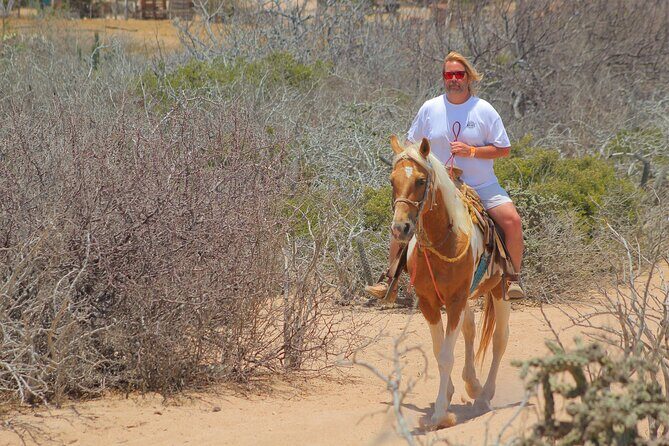 Combined ATV and Horseback Ride/Tequila Tasting - What to Expect from This Cabo Experience