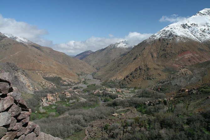 Combined Tour: Atlas Mountains Trek and Sahara Desert 5 Days Tour - Operator and Reviews