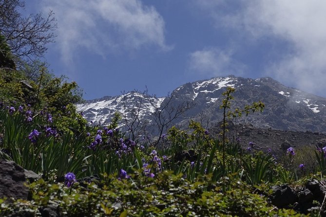 Combined Tour: Atlas Mountains Trek and Sahara Desert 5 Days Tour - Additional Details